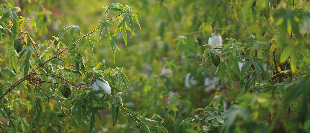 How We Source Our Pieces: A Transparent Look Behind Urban Native